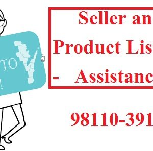 Seller Product Listing Assistance
